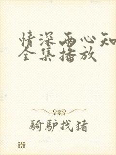 情深两心知短剧全集播放