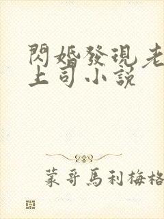 闪婚发现老公是上司小说