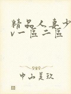 精品人妻少妇av一区二区