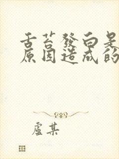 舌苔发白是什么原因造成的