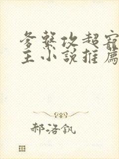 爹系攻超宠双男主小说推荐