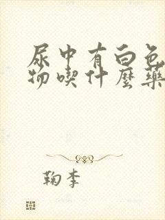 尿中有白色沉淀物吃什么药