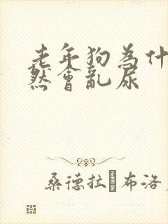 老年狗为什么突然会乱尿