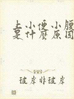 上小便小腹胀痛是什么原因