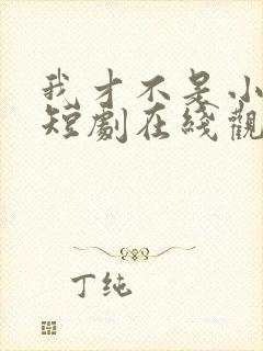 我才不是小可怜短剧在线观看