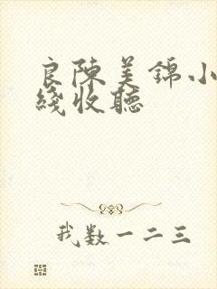 良陈美锦小说在线收听