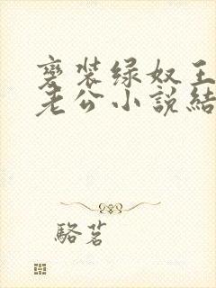 变装绿奴王八奴老公小说结局