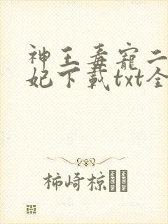 神王毒宠二嫁王妃下载txt全集