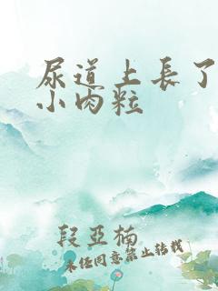 尿道上长了几个小肉粒