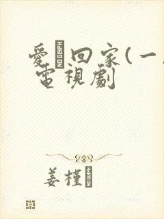 爱·回家(一) 电视剧