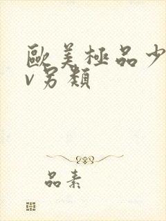 欧美极品少妇αv另类