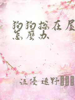 狗狗总在屋里尿怎么办