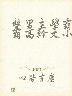 双男主学霸和校霸高干文小说