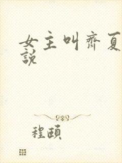 女主叫齐夏的小说