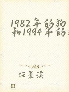 1982年的狗和1994年的狗婚姻相配吗