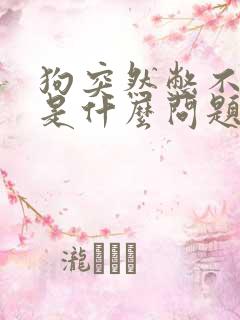 狗突然憋不住尿是什么问题