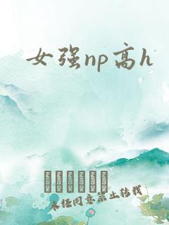 女强np高h