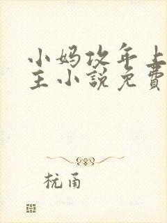 小妈攻年上双男主小说免费阅读