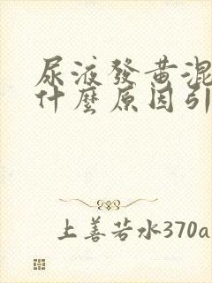 尿液发黄混浊是什么原因引起的