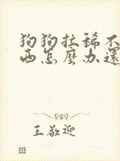 狗狗拉稀不吃东西怎么办还吐