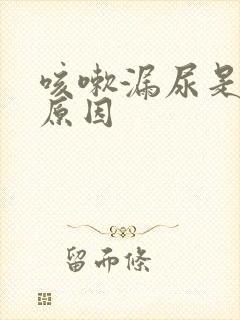 咳嗽漏尿是什么原因