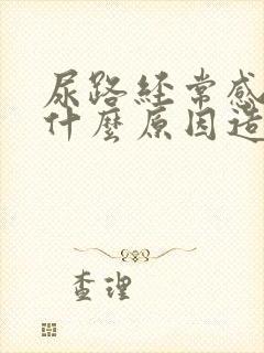 尿路经常感染是什么原因造成的?