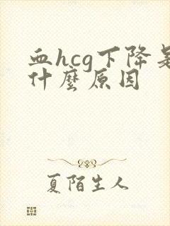 血hcg下降是什么原因