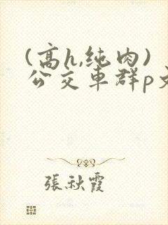 (高h,纯肉)公交车群p文