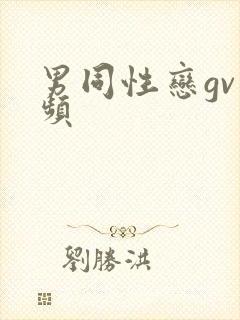 男同性恋gv视频