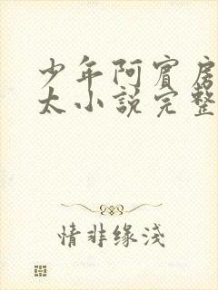 少年阿宾房东太太小说完整免费阅读下载