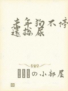 老年狗不停喝水还总尿