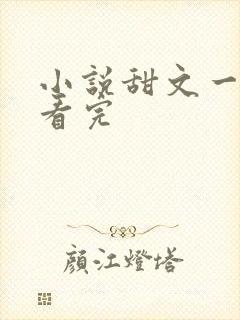 小说甜文一口气看完