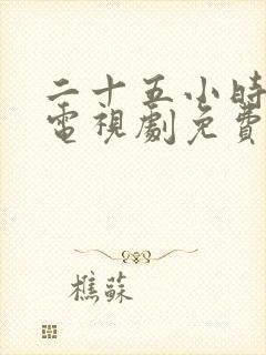 二十五小时恋爱电视剧免费观看全集