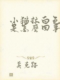 小猫拉白色粪便是怎么回事