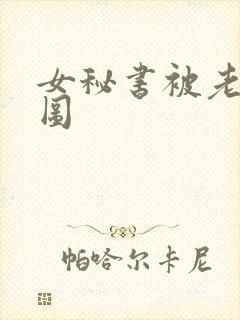 女秘书被老板插图