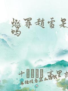 燃罪赵处是内鬼吗