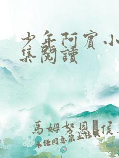 少年阿宾小说全集阅读