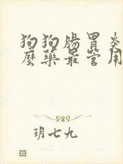 狗狗肠胃炎用什么药最管用