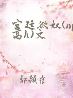 宫廷欲奴(np高h)文