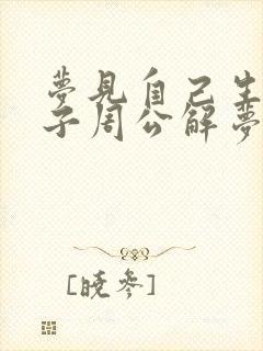 梦见自己生男孩子周公解梦