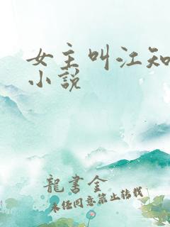 女主叫江知意的小说