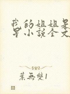 我的姐姐是大明星小说全文阅读