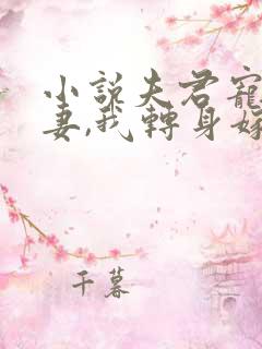 小说夫君宠妾灭妻,我转身嫁权贵