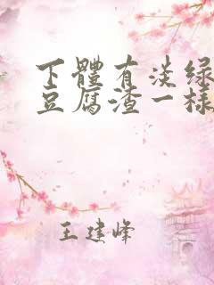 下体有淡绿色的豆腐渣一样的分泌物