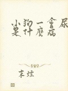 小狗一会尿一点是什么病