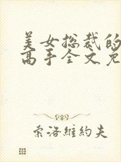 美女总裁的贴身高手全文免费阅读