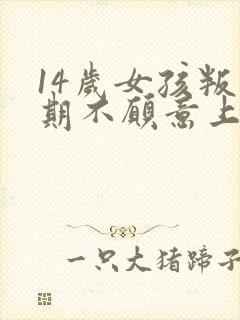 14岁女孩叛逆期不愿意上学怎么办