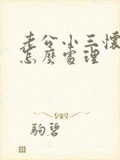 老公小三怀孕了怎么处理