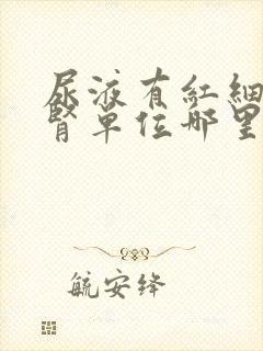 尿液有红细胞是肾单位哪里出问题