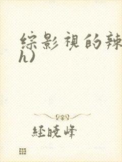 综影视的辣文(h)
